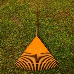 Yard Cleanup