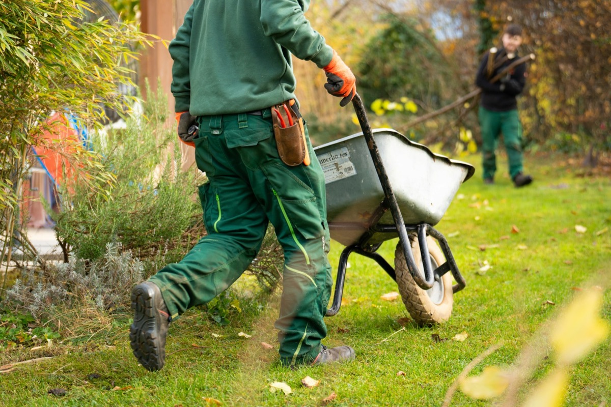 Tasker doing yard cleanup work with a wheelbarrow